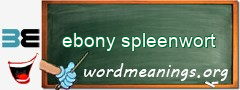 WordMeaning blackboard for ebony spleenwort